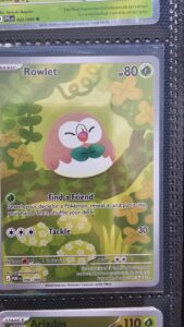 MidnightPullsJP Rowlet Day
